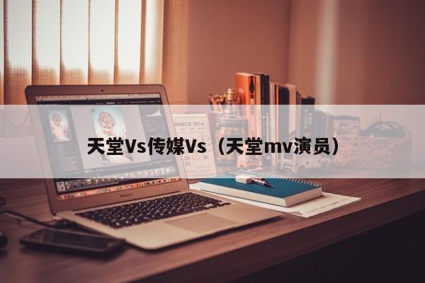 天堂Vs传媒Vs（天堂mv演员）